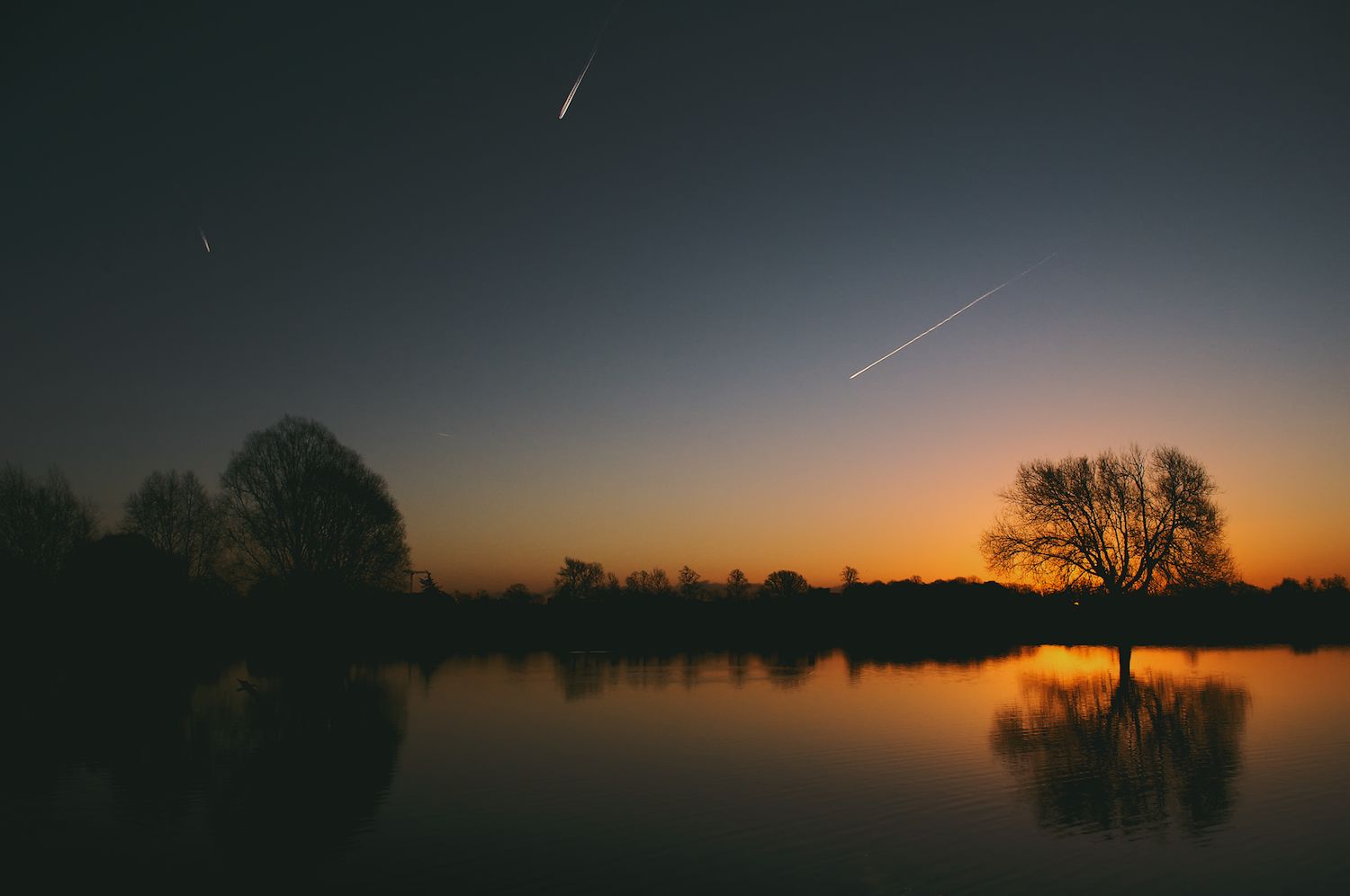 Bushy park in London